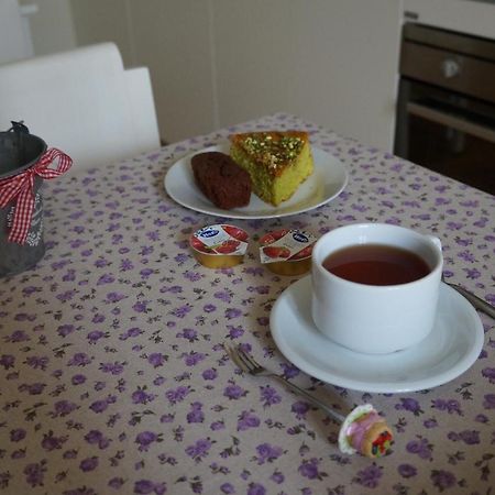 Il Vicolo 48 Bed and Breakfast Pesaro Buitenkant foto
