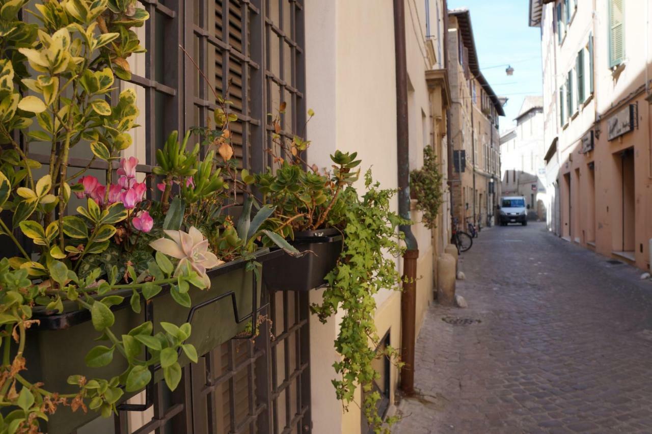 Il Vicolo 48 Bed and Breakfast Pesaro Buitenkant foto